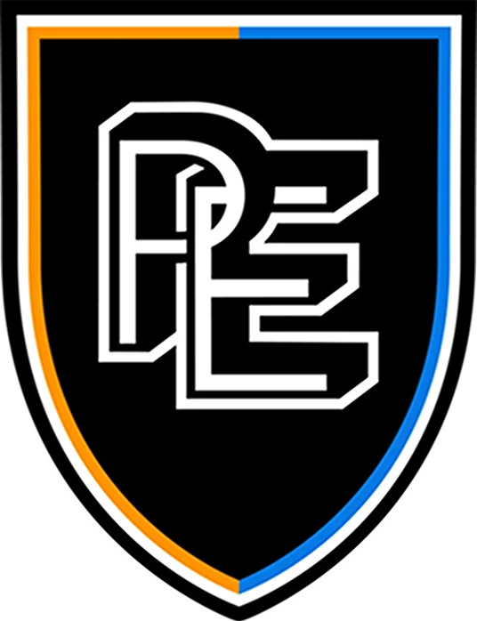 Pro Elite Football Academy